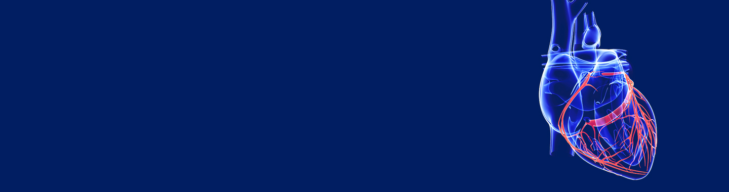 Vesalius Banner Image_Dk Blue Bkgd